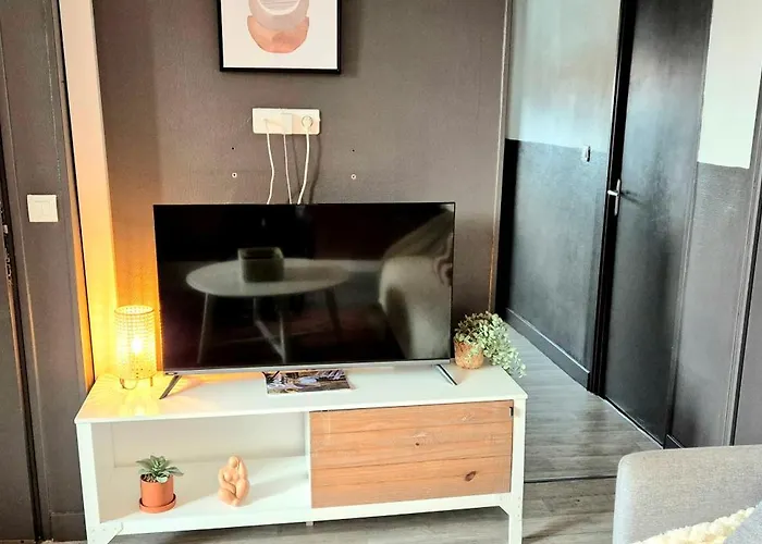 Cosy Chic Au Coeur De Lourdes-wifi-parking アパート