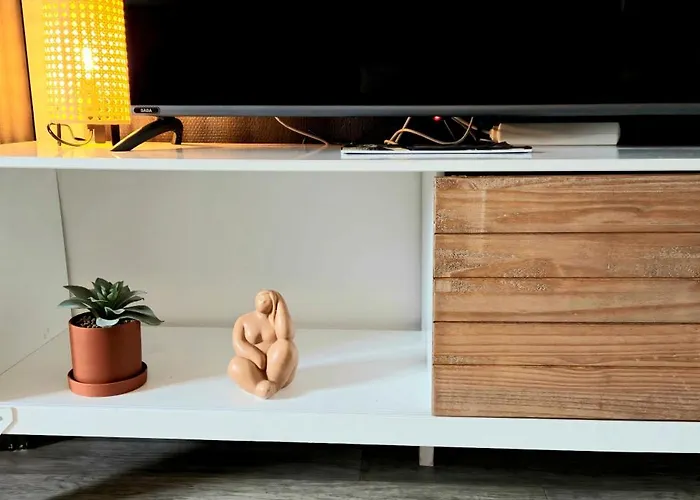 Cosy Chic Au Coeur De Lourdes-wifi-parking